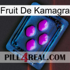 Kamagra Fruit 04